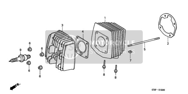 Cylinder/Cylinder Head